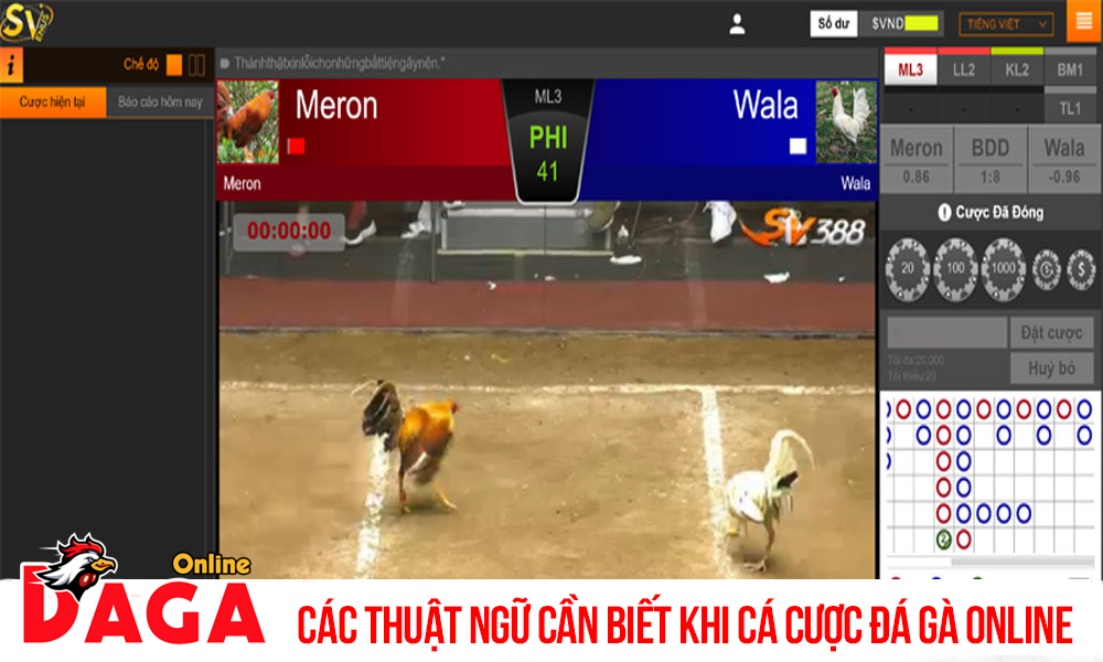 Các thuật ngữ cần biết khi cá cược đá gà online