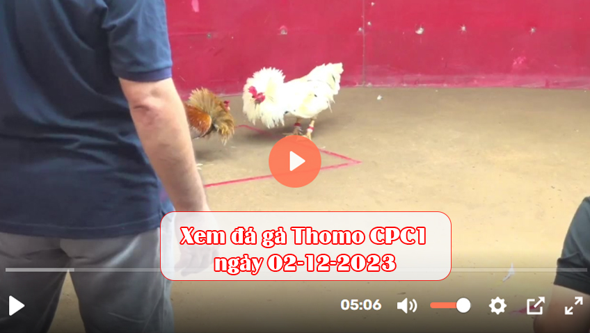 Xem đá gà Thomo CPC1 ngày 02-12-2023