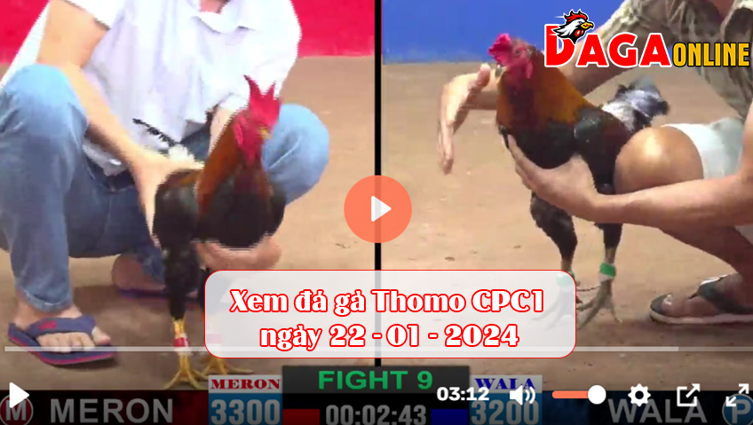 Xem đá gà Thomo CPC1 ngày 22-01-2024