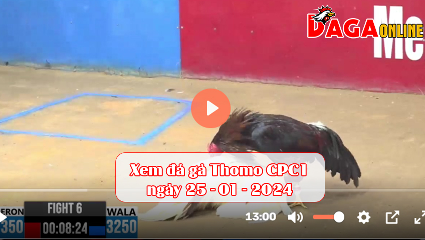 Xem đá gà Thomo CPC1 ngày 25-01-2024