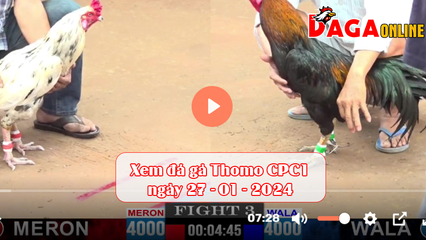 Xem đá gà Thomo CPC1 ngày 27-01-2024