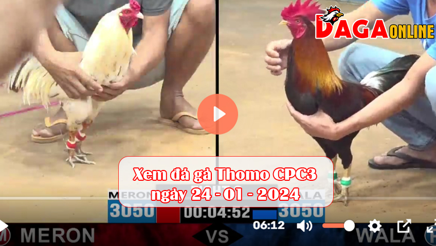 Xem đá gà Thomo CPC3 ngày 24-01-2024