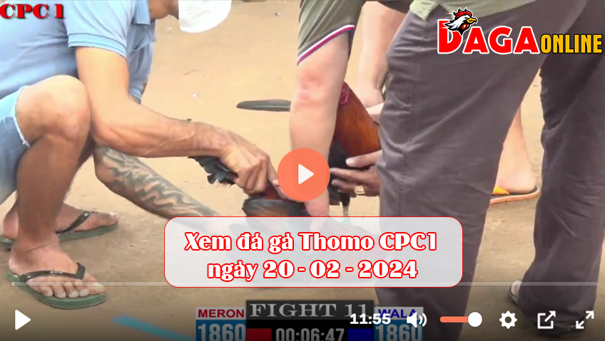 Xem đá gà Thomo CPC1 ngày 20-02-2024