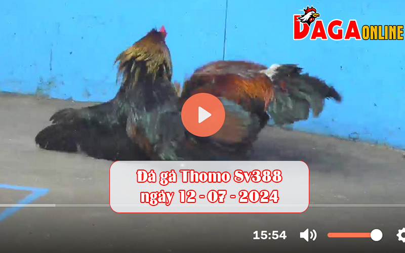 Đá gà Thomo Sv388 ngày 12-07-2024