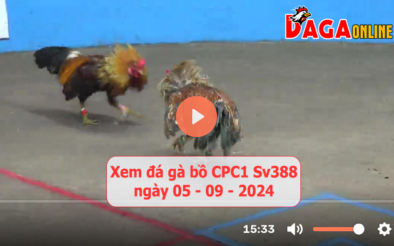 Xem đá gà bồ CPC1 Sv388 ngày 05-09-2024