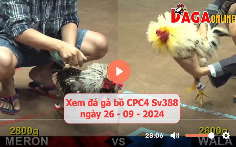 Xem đá gà bồ CPC4 Sv388 ngày 26-09-2024